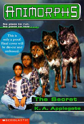 Book Cover for The Secret
