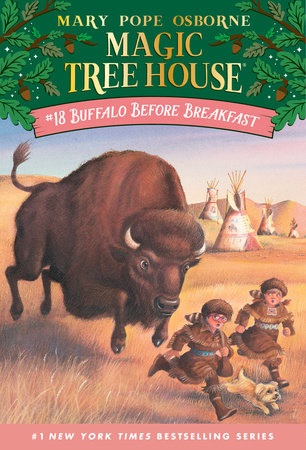 Book Cover for Buffalo Before Breakfast